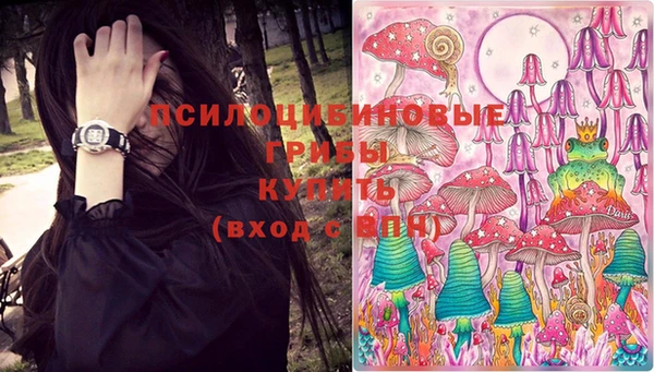 тгк Кукмор